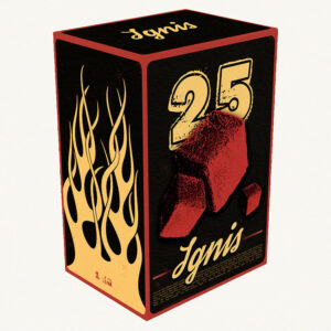 Кокосове вугілля – Ignis (72шт – 1кг)